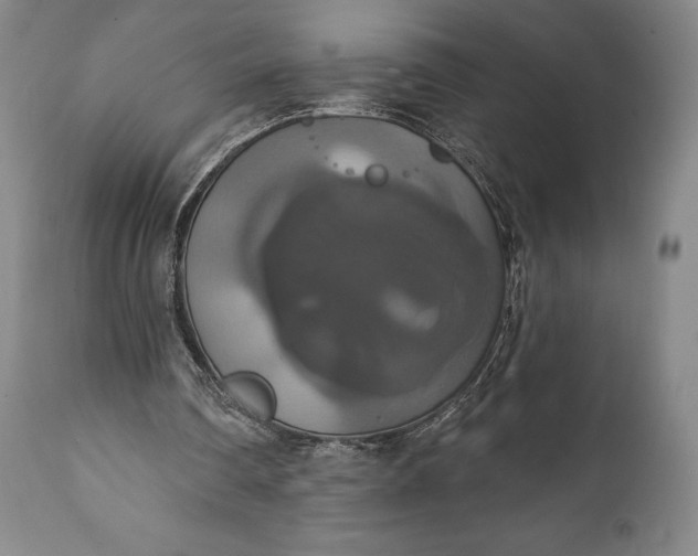 X0000111440290200907271136