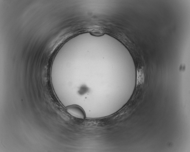 X0000111440291200907271136