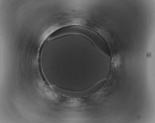 X0000111440292200907271136