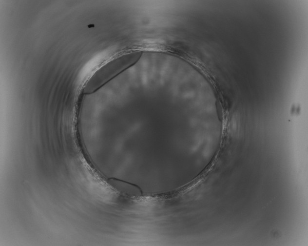 X0000111440293200907271136