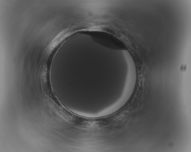 X0000111440295200907271136