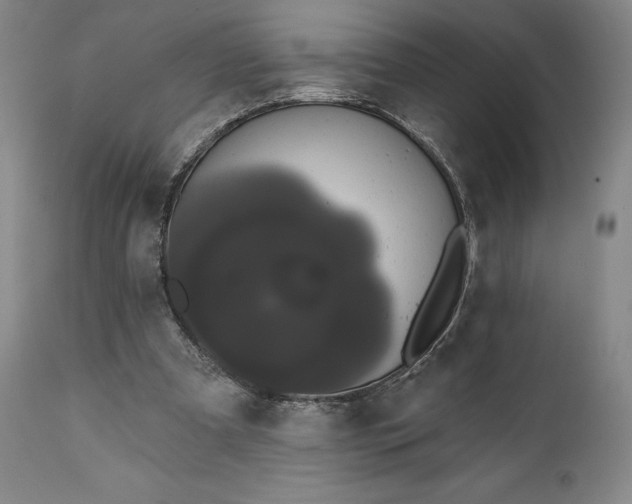 X0000111440297200907271136