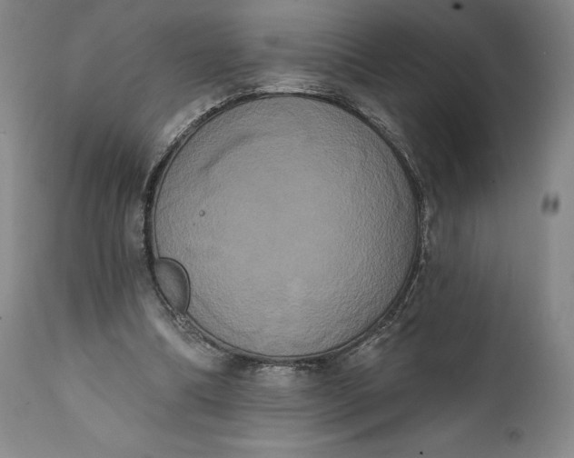 X0000111440298200907271136