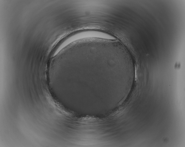 X0000111440300200907271136