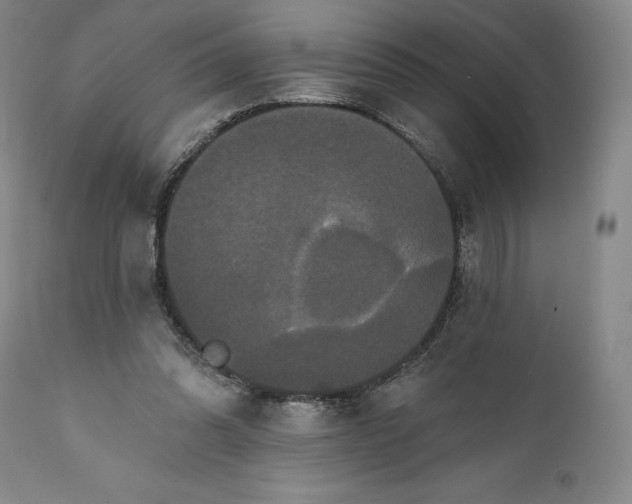 X0000111440302200907271136