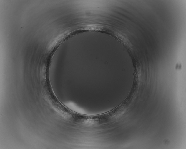 X0000111440303200907271136