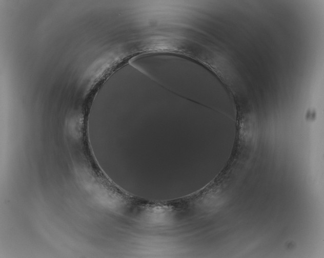 X0000111440304200907271136