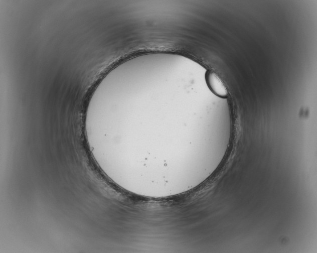 X0000111440305200907271136