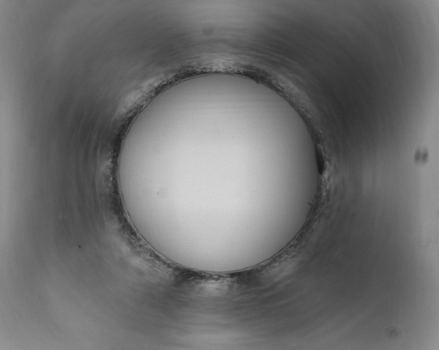 X0000111440306200907271136