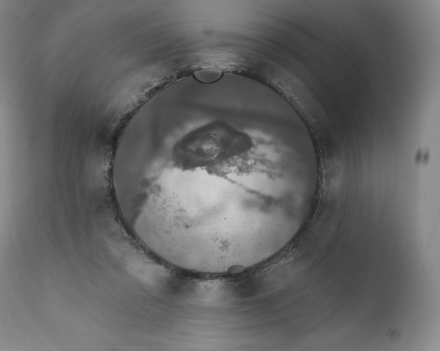 X0000111440309200907271136