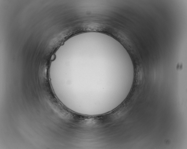 X0000111440310200907271136