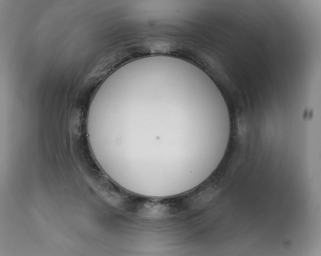 X0000111440311200907271136