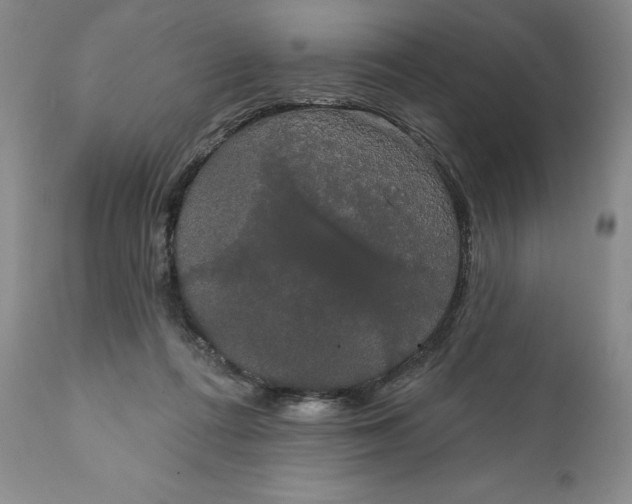 X0000111440312200907271136