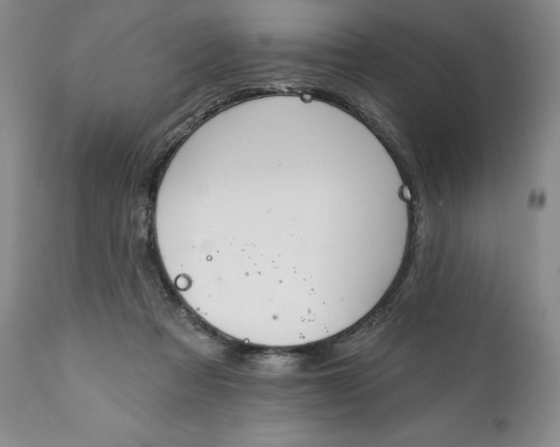 X0000111440313200907271136