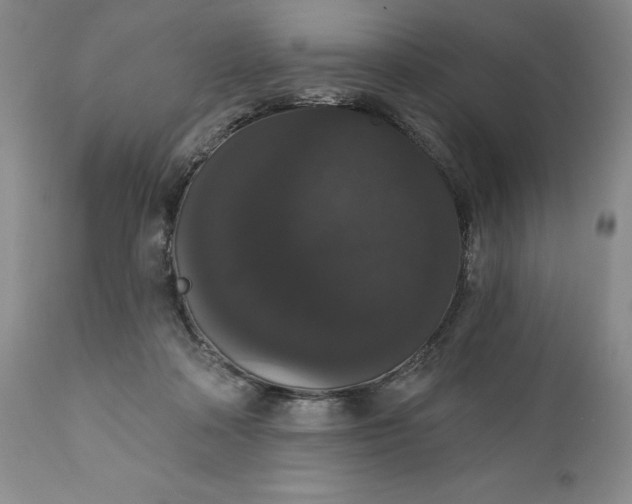 X0000111440314200907271136