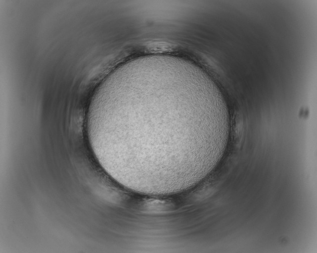 X0000111440315200907271136