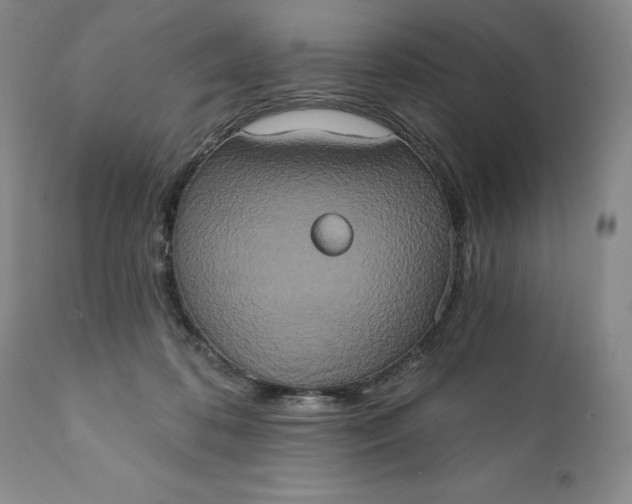 X0000111440316200907271136