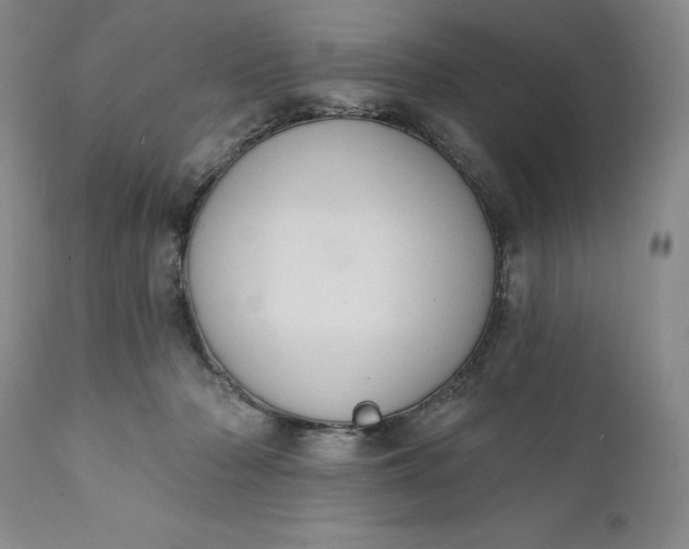 X0000111440318200907271136