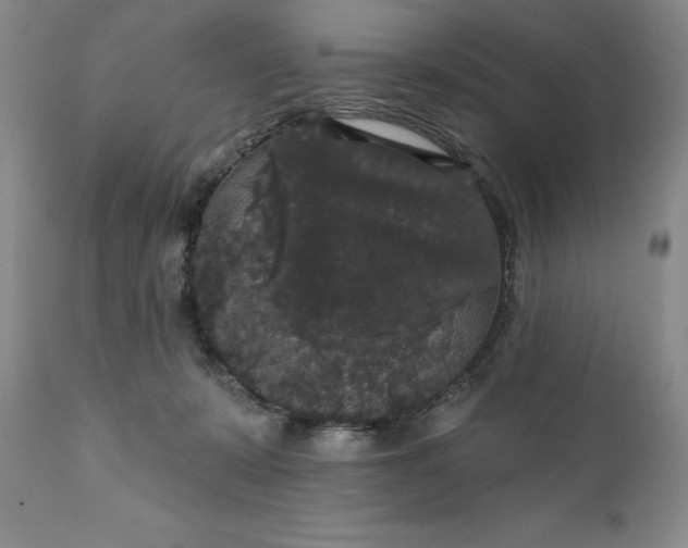 X0000111440319200907271136