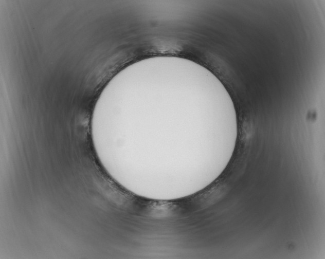 X0000111440321200907271136