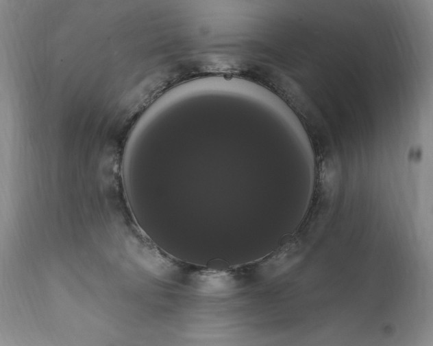 X0000111440322200907271136