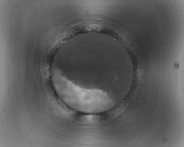 X0000111440323200907271136