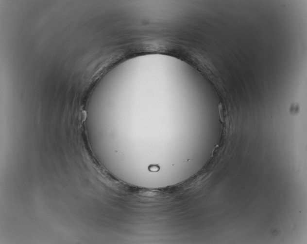 X0000111440325200907271136