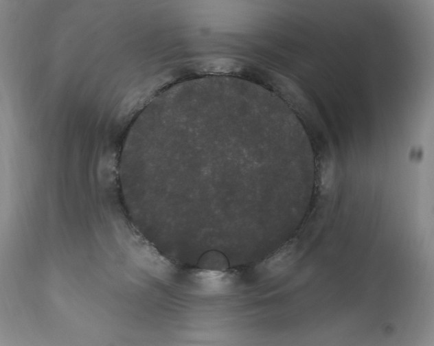 X0000111440326200907271136