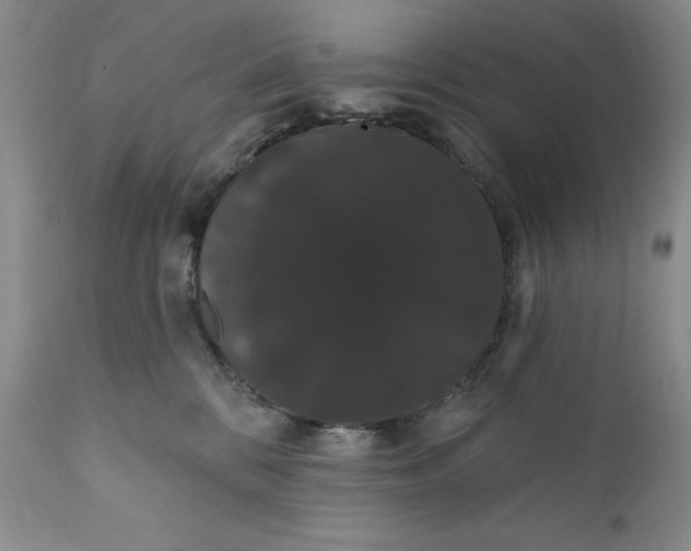 X0000111440328200907271136