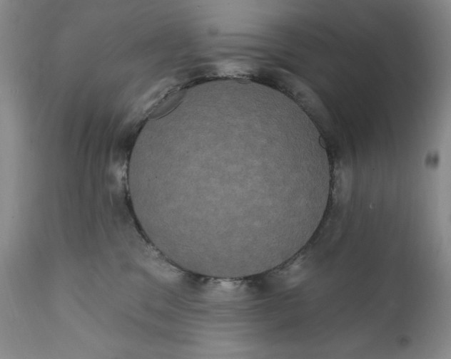 X0000111440329200907271136