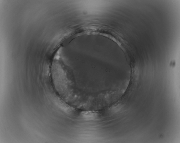 X0000111440331200907271136