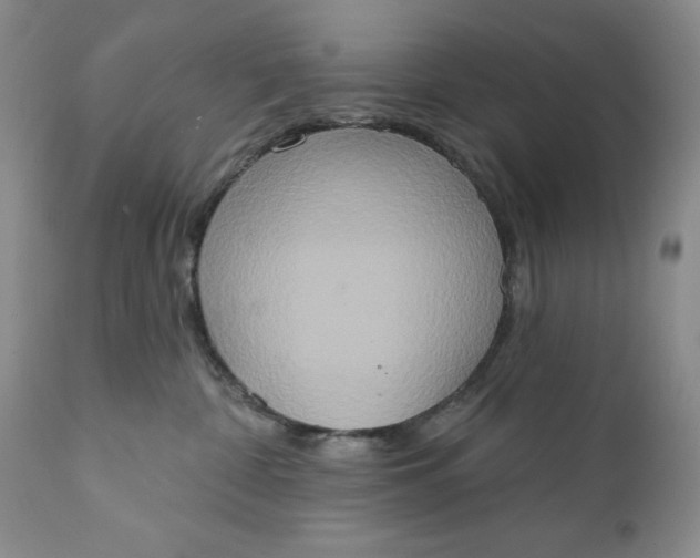 X0000111440332200907271136