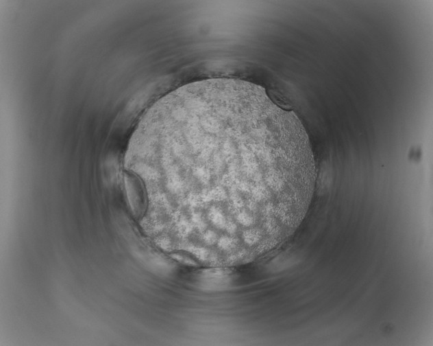 X0000111440335200907271136