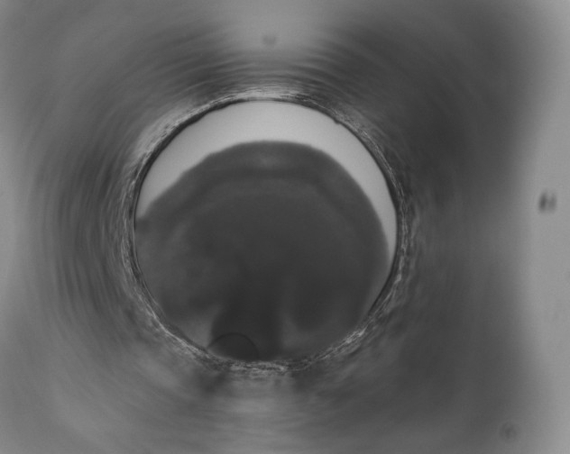 X0000111440337200907271135