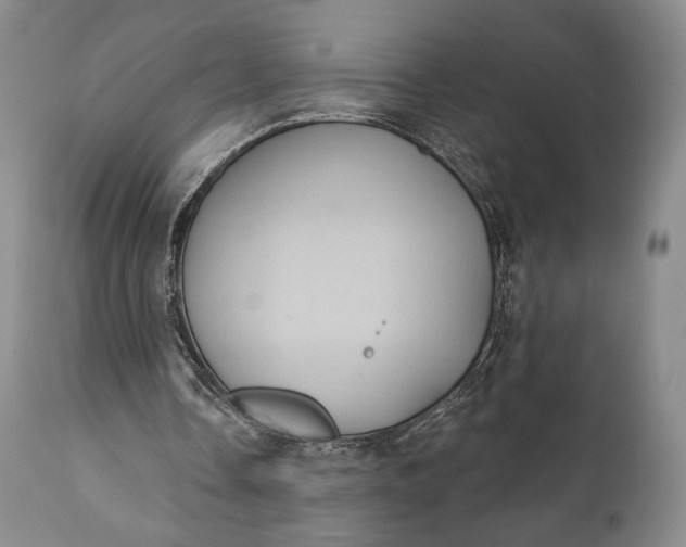 X0000111440338200907271135