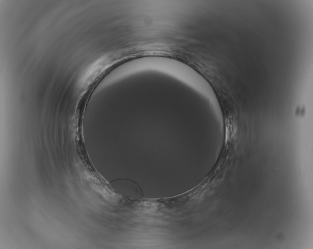 X0000111440339200907271135