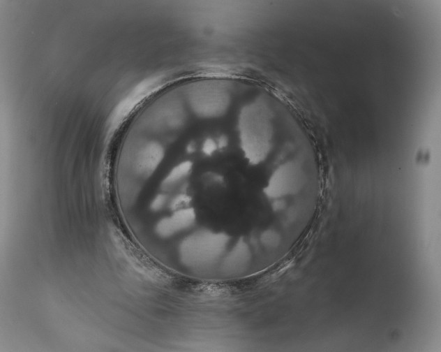 X0000111440343200907271135