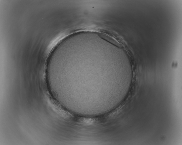 X0000111440344200907271135