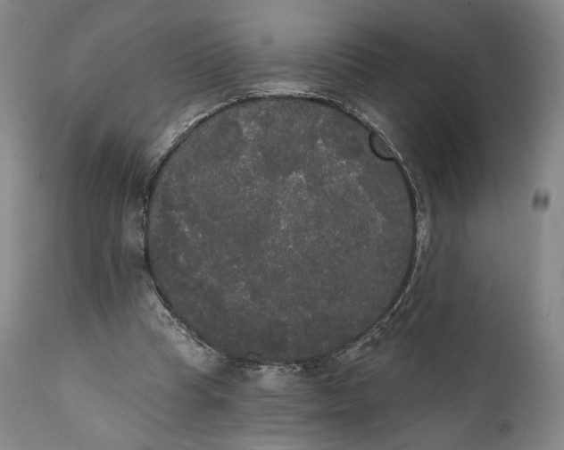 X0000111440345200907271135