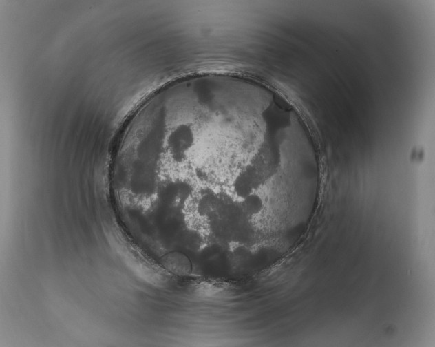 X0000111440346200907271135