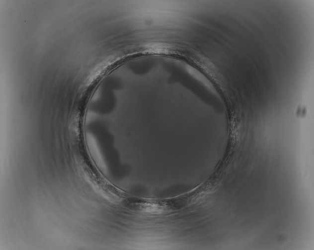 X0000111440347200907271135