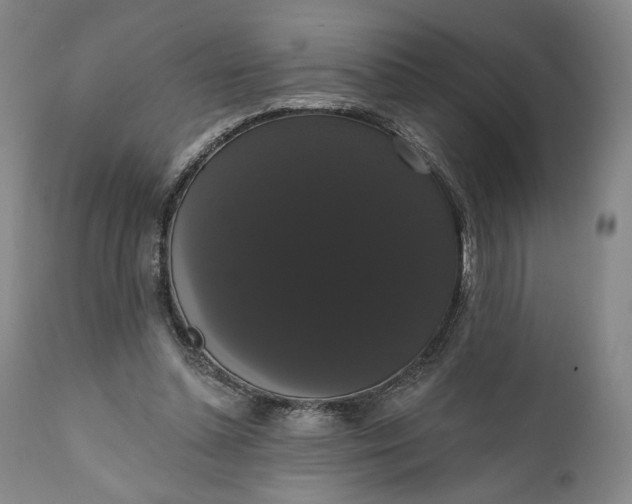 X0000111440348200907271135