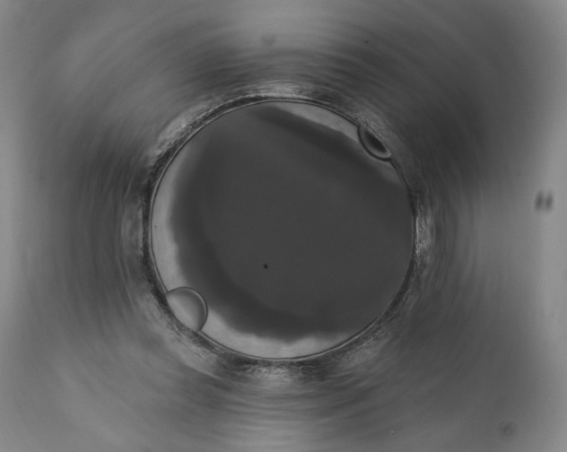 X0000111440349200907271135