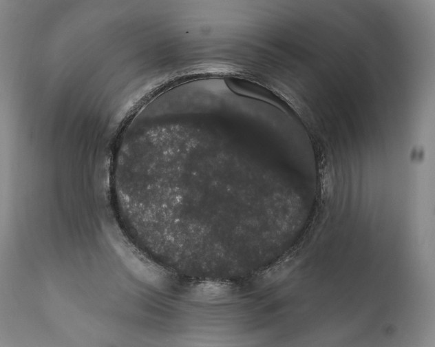 X0000111440350200907271135