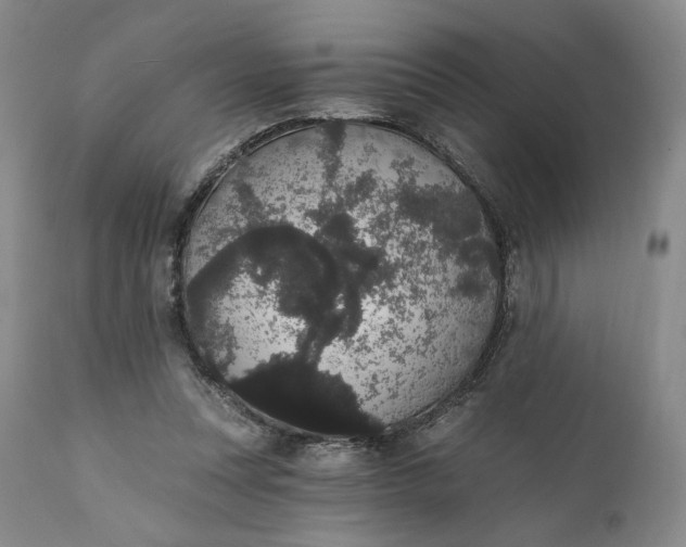 X0000111440351200907271135