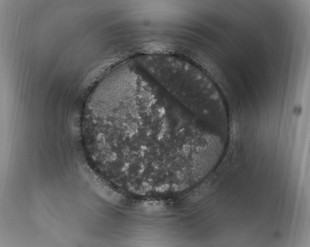 X0000111440353200907271135