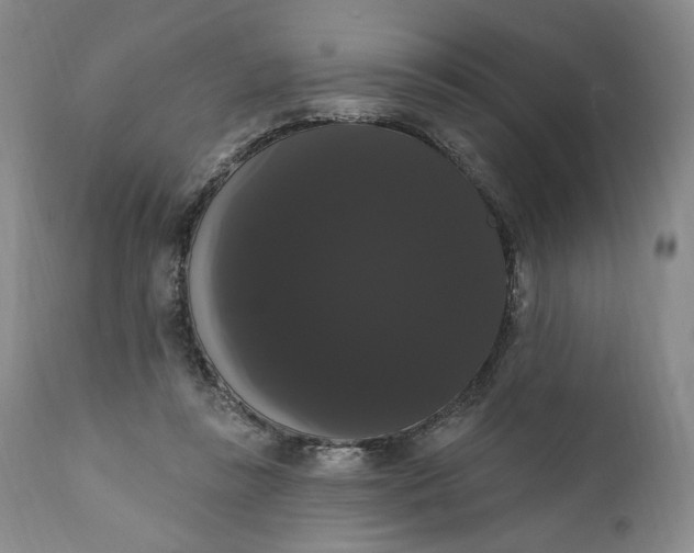 X0000111440355200907271135