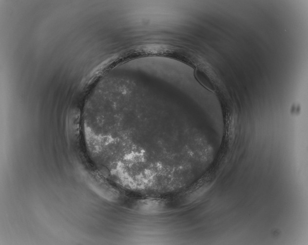 X0000111440356200907271135