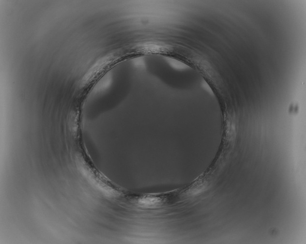 X0000111440357200907271135