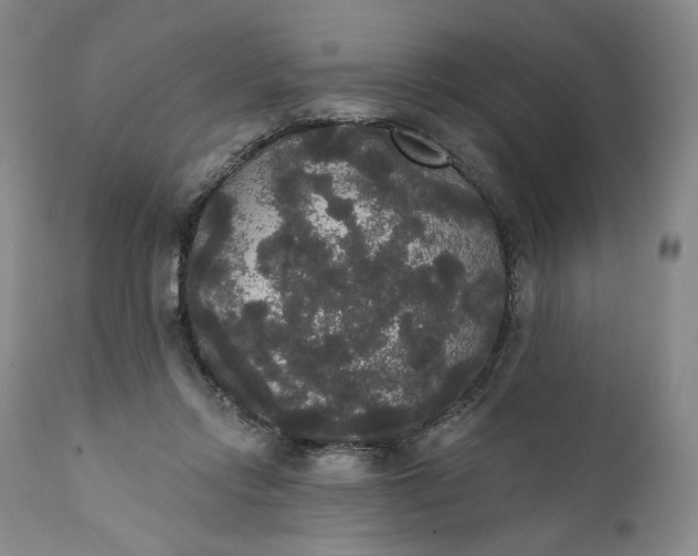 X0000111440358200907271135